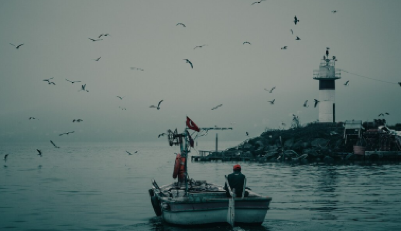 fishingTypesImg